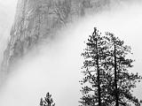 Yosemite Valley 010